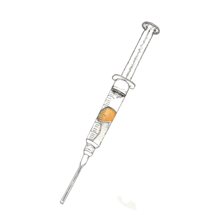 B+ Mushroom Spore Syringe