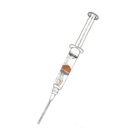 Golden Teacher Spore Syringe