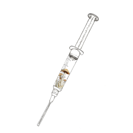 Stargazer Spore Syringe